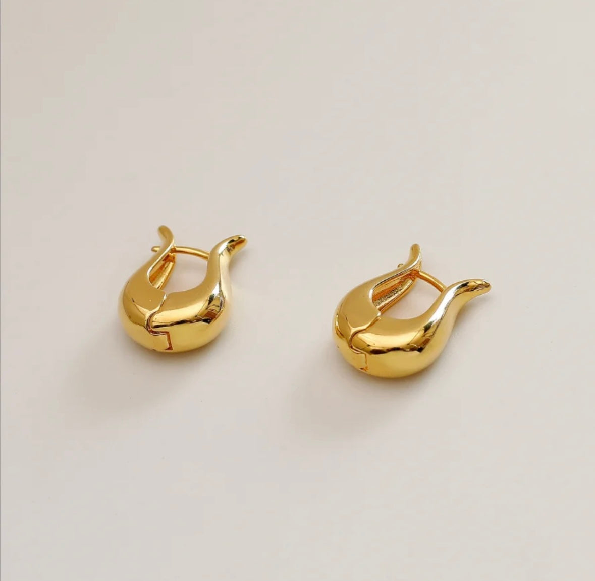 Earrings pair