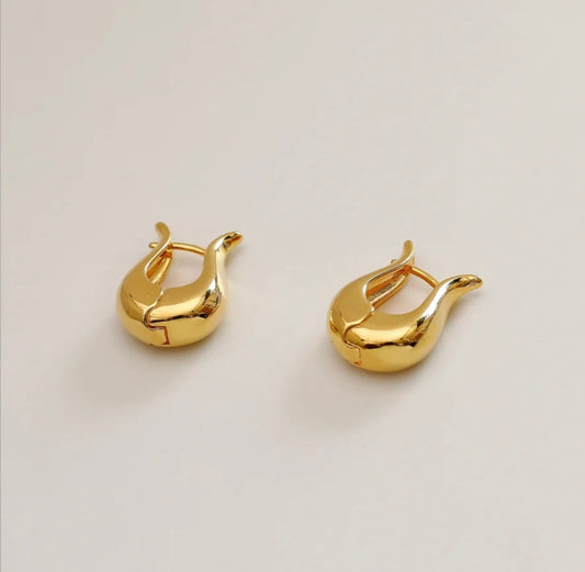 Earrings pair